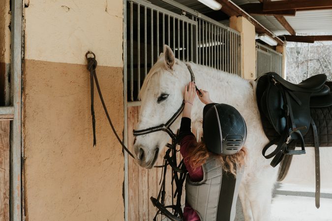 Unrecognizable girl putting bridle on horse