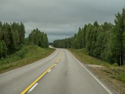 Empty asphalt road in forest