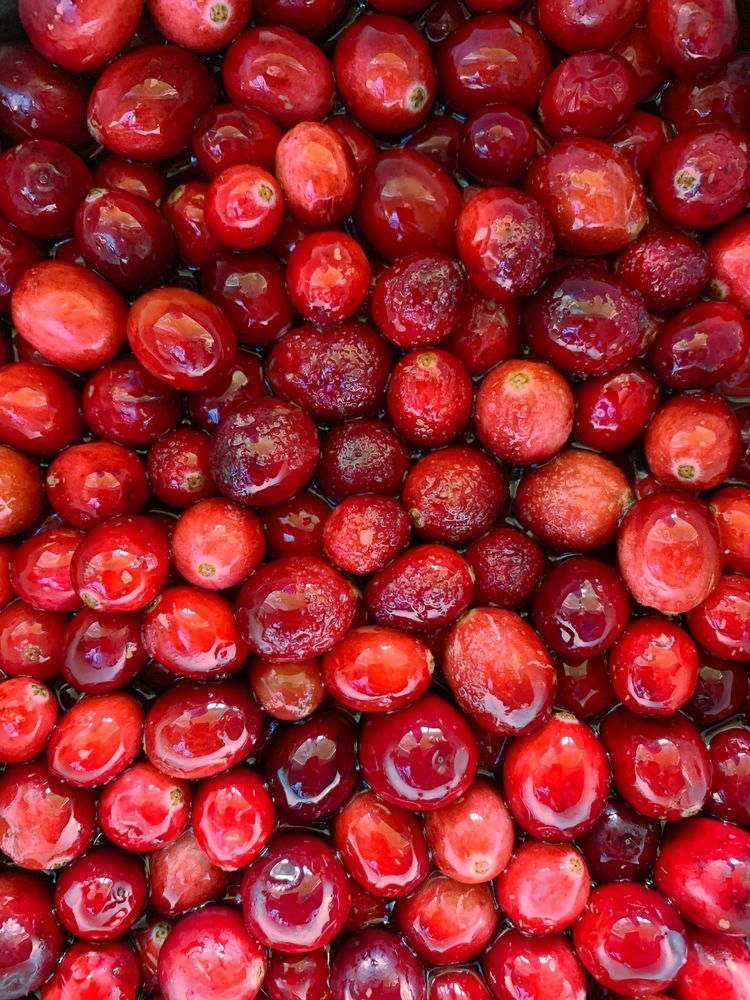 Shiny cranberries