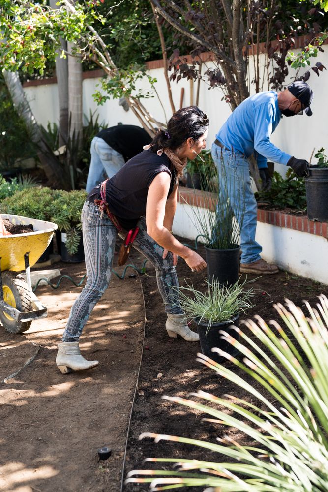 Group of people working in the garden