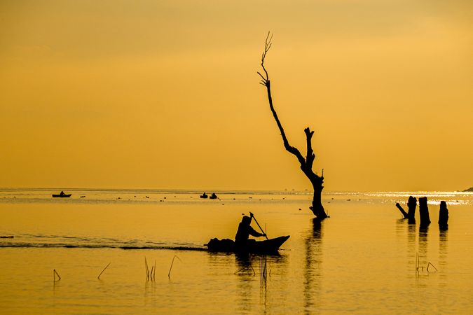 Silhouette of person paddling near leafless tree