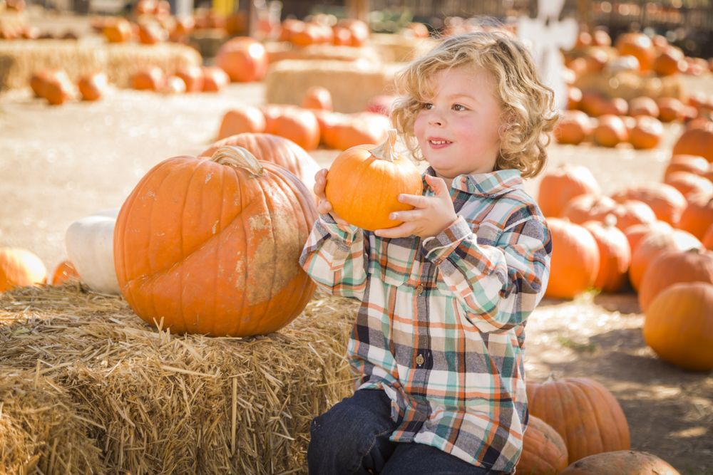 Little Boy Sitting and Holding His Pumpkin in Field