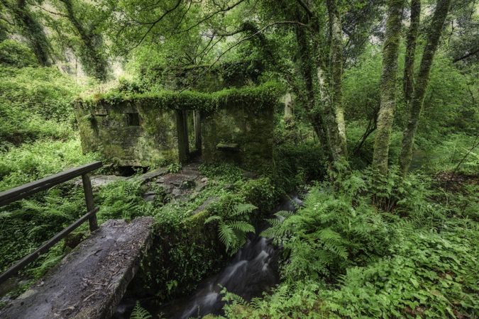 Old water mill in the forest, wooden bridge over stream