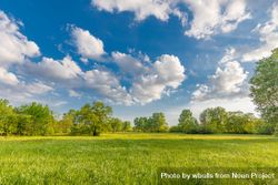Green field with trees on a nice day with blue sky and fluffy clouds 5R8M2b