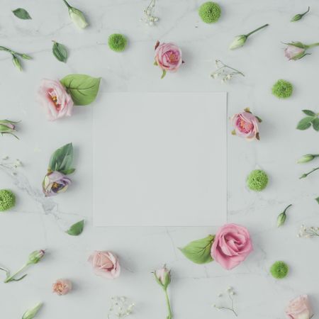 Pink flowers and leaves on marble background with paper card