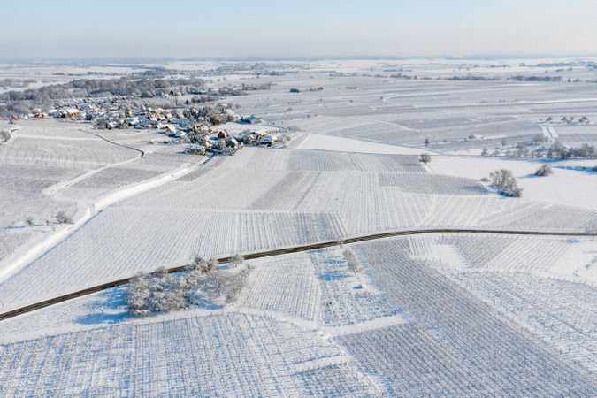 Alsace vineyards under heavy snow on a sunny winter day. Details and top view.