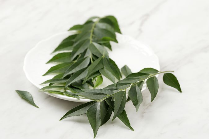 Curry leaves on small plate