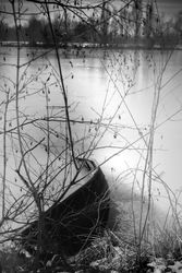 Monochrome shot of boat on frozen lake pictured through branches