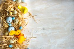 Colorful Easter eggs surrounded with hay with space for text