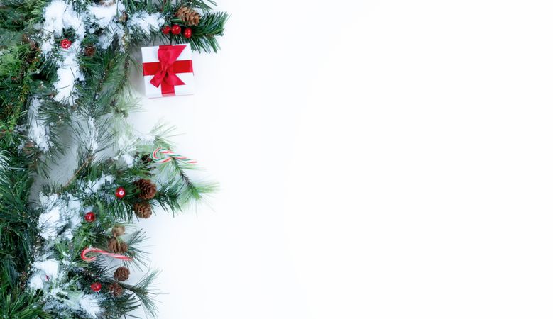 Snow covered Christmas tree branches and decorations on left side of solid background