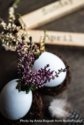 Close up of heather in decorative eggs for Easter table 4d8Ard