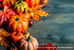 Autumn pumpkin decorations and leaves with space for text 4AYJQ4
