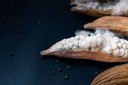 Kapok, tropical cotton fruit used for fiber and seed,