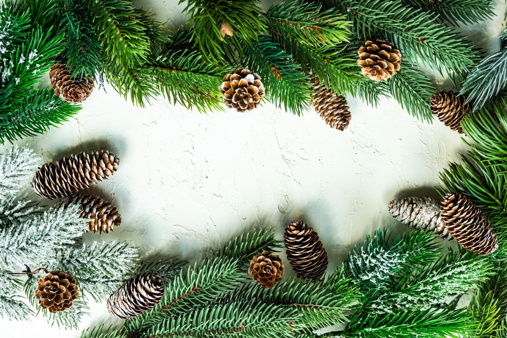 Christmas pine branch frame with copy space in center