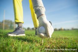 Cropped image of person grabbing the golf ball with pin from the ground 5wKlW5