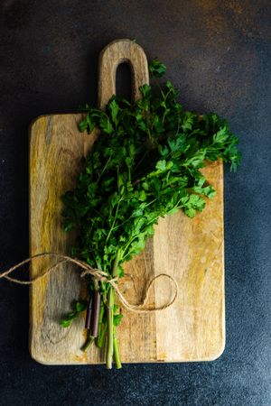 Cilantro herb on wooden cutting board with copy space