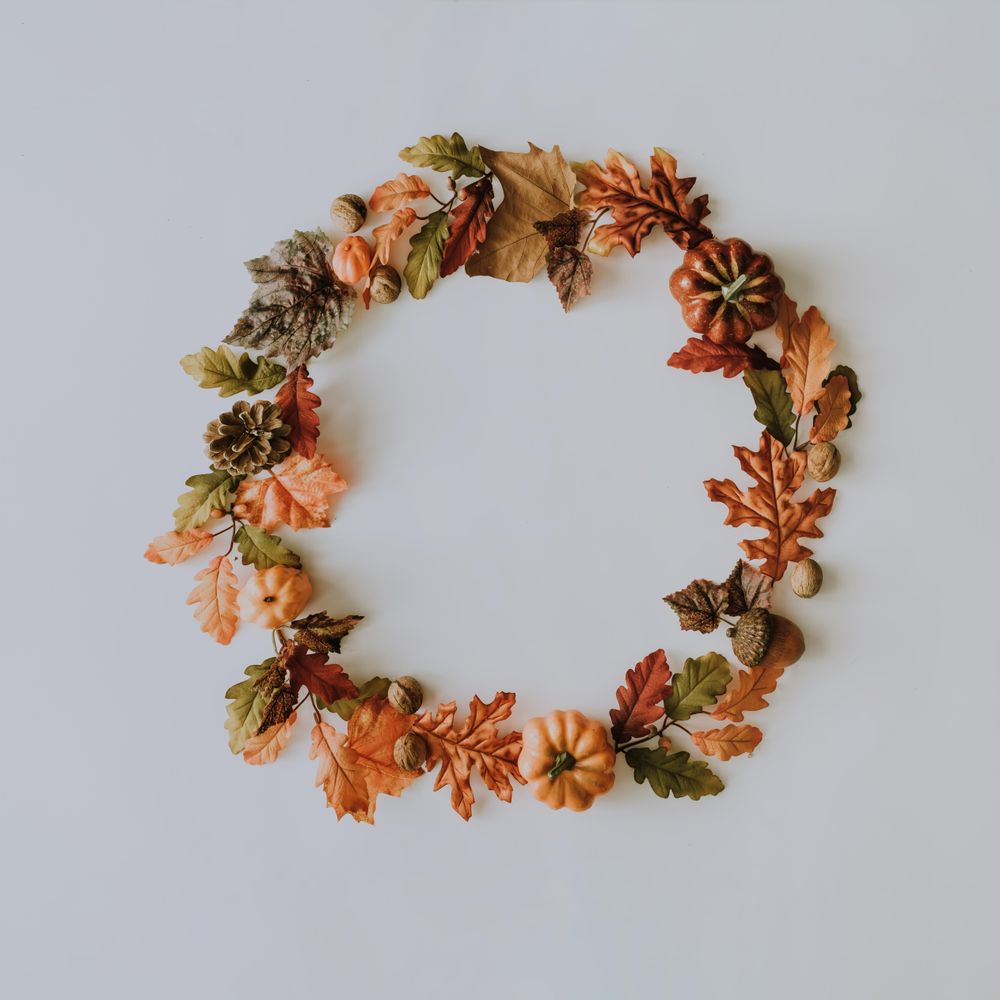 Wreath made of autumn fruits and leaves on light background