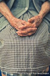 Cropped image of an older woman in plaid skirt with wrinkled hands bxr7v5
