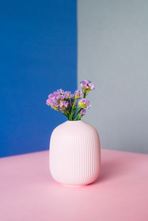 Violet sea lavender flowers in a multicolor background