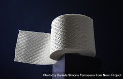 Toilet paper on a cube in a beam of light 0PEdl5