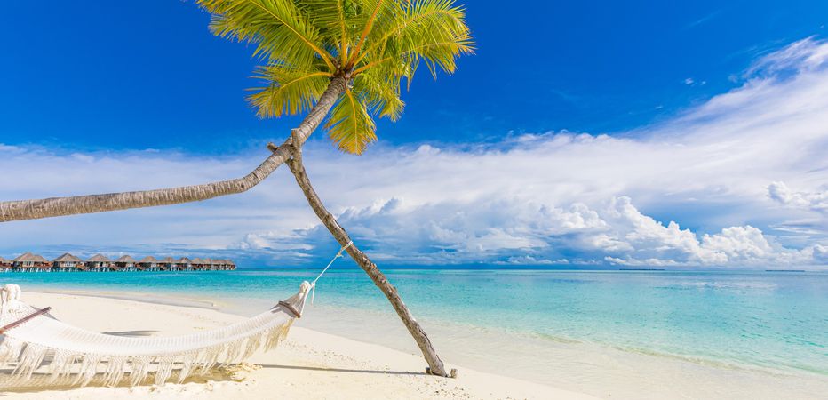 Hammock on palm tree on a tropical beach