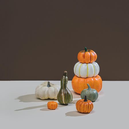 Autumnal retro still life with squashes