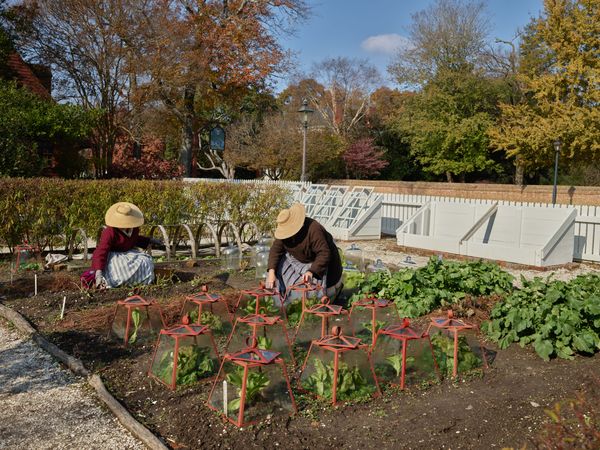 Two women gardening in Colonial Williamsburg, Virginia