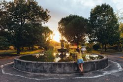 Female admiring sunset in park