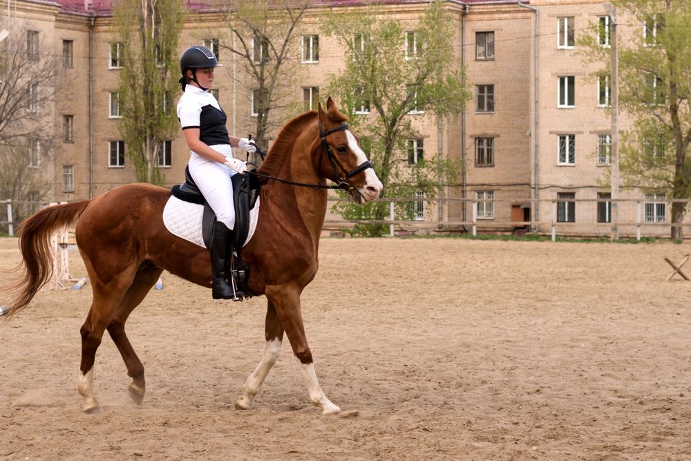 Dressage rider on horse in urban practice arena