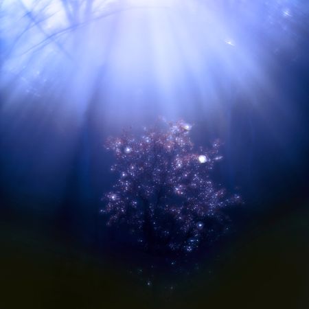 Blurred trees in forest