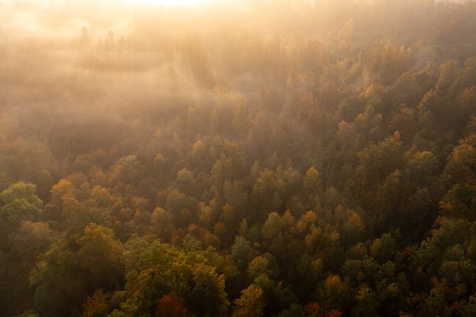 Drone shot with a foggy scenery, multi-colored autumn forest at sunrise