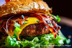 Close up of hamburger with cheese, bacon and lettuce 49m1By