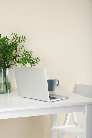 Laptop, vase with plant and coffee on light table