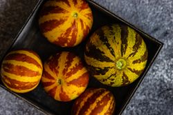 Close up of box of organic mini melons