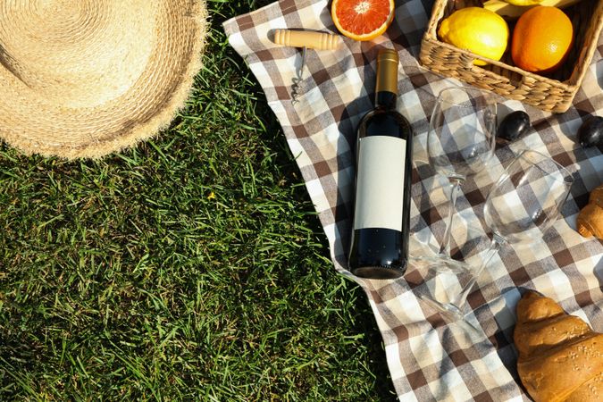 Picnic composition with wine and food against green grass, space for text