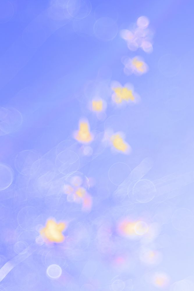 Tender dry leaves in blue light effect