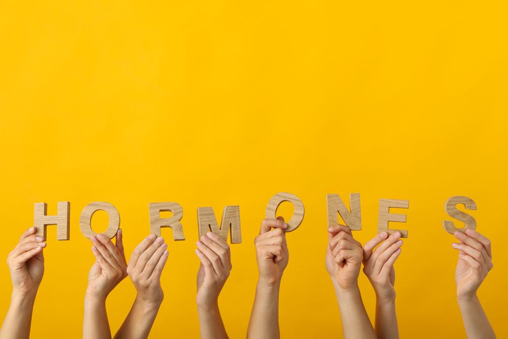 The word hormones in human hands, on a light background.