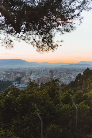 View of city and sea from hill