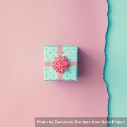 Close up shot of small gift wrapped with pink ribbon on pink blue background 5rvzd5