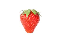 Strawberry isolated on light background. Summer sweet fruits and berries