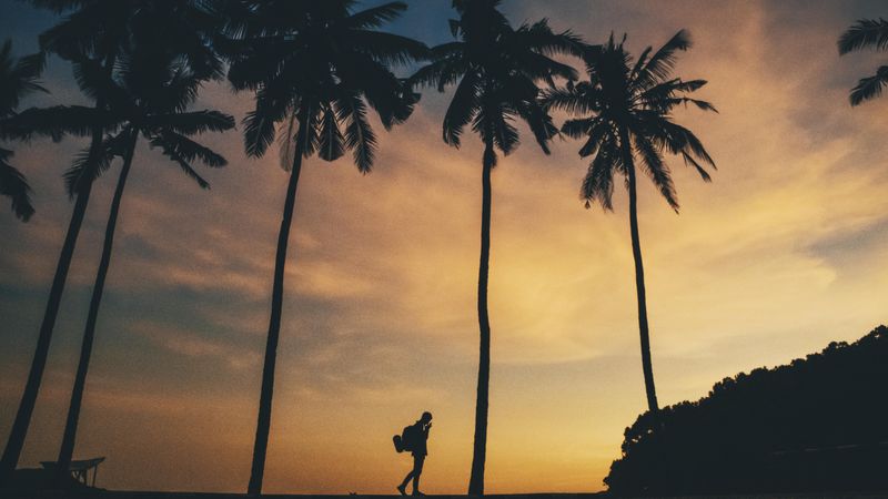 Silhouette of man with backpack walking near palm tree during sunset