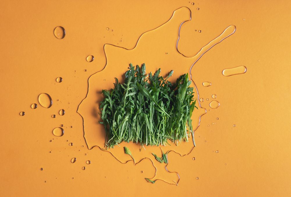 Arugula leaves on orange background and water