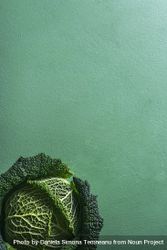 Savoy cabbage freshly harvested 0y9110
