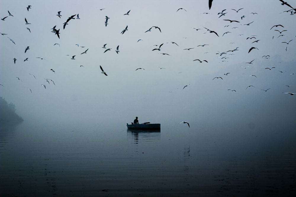 Silhouette of person on boat on water