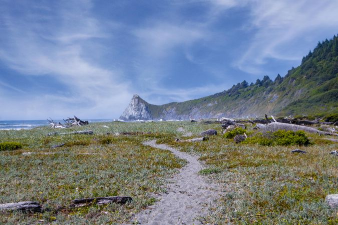 Walking trail going towards the beach