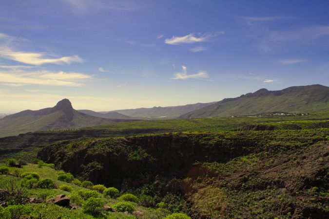 Green trees on mountain under blue sky