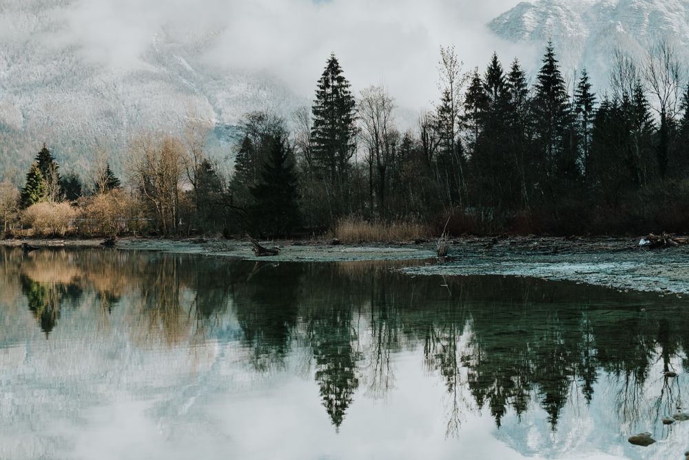 Picturesque shore with forest and crystal lake reflecting tree and sky