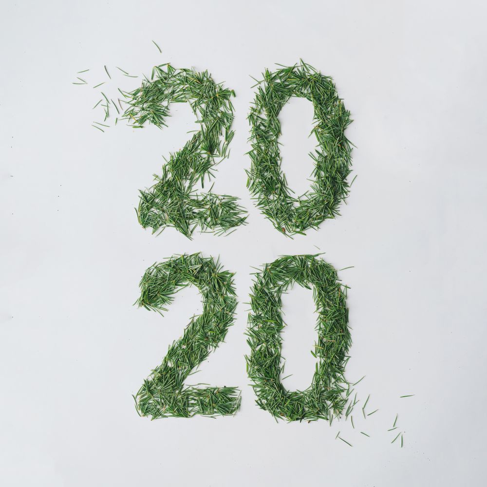 “2020” in pine needles on light background