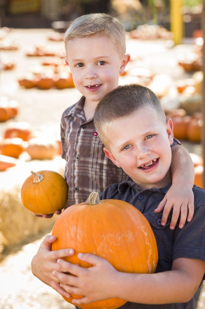 Brothers Having Fun on a Fall Day