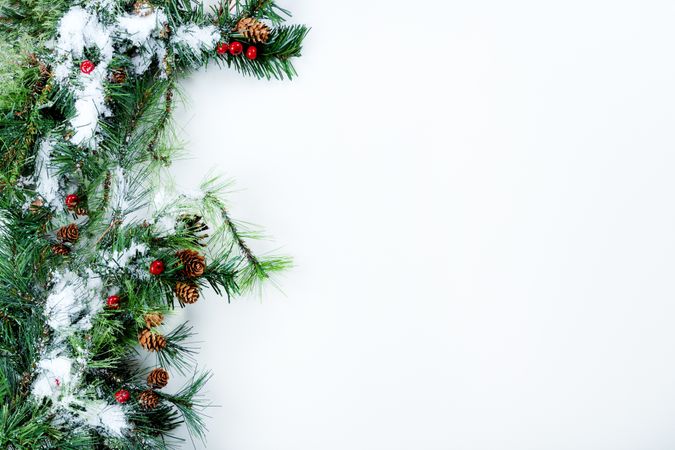 Snow covered Christmas tree branches on left side of solid background